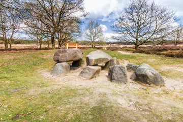 Dolmen D10   in the Dutch province of Drenthe with a background of oak trees.  A dolmen or in Dutch a Hunebed is construction work from the new stone age.