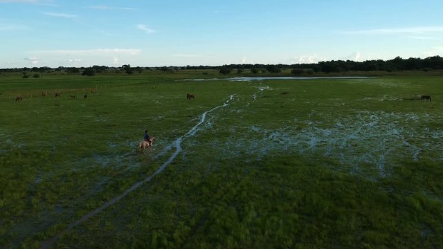 llanero cabalgando en laguna 