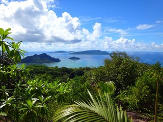 Fototapeta na wymiar Seychelles, Indian Ocean, Praslin Island, West Coast, Fond Ferdinand Trail