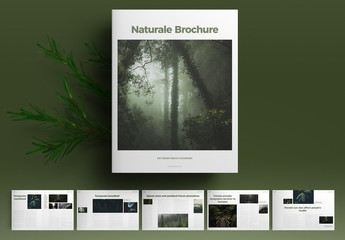 Green Lifestyle Brochure Layout