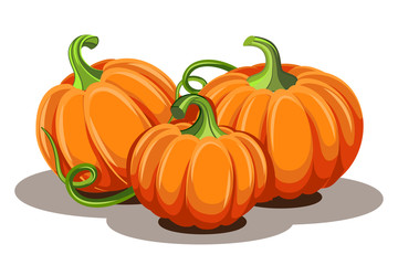 Pumpkins with leaves isolated on white background
