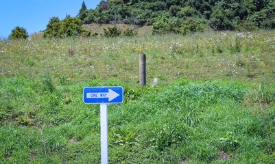 One way sign on the field