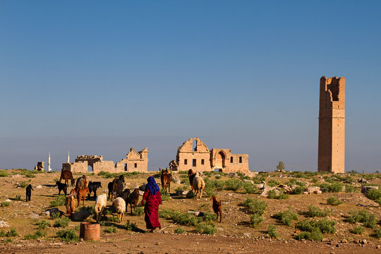 Ruins of the ancient city of Harran in upper Mesopotamia, near the province of Sanliurfa in Turkey.