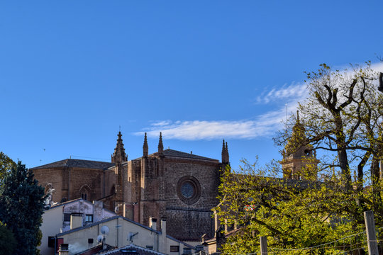 El roseton de la catedral