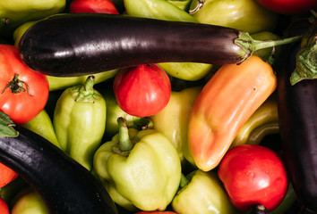 Summer harvest from the greenhouse and garden. Delicious and healthy vegetarian organic food. Various fresh colored vegetables close up. Green bell peppers, red tomatoes and blue eggplants.
