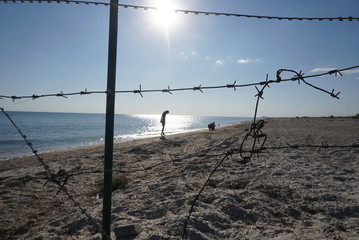 barbed wire on the beach