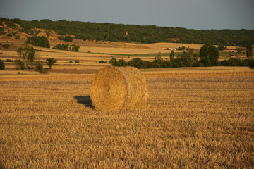 campo castellano con alpacas de paja, agricultura natural, agricultura de precisión.