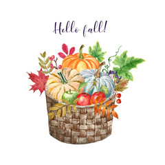Watercolor fall harvest illustration. Pumpkins, leaves, apples, berries in a rustic garden basket, isolated on white background. Autumn art.