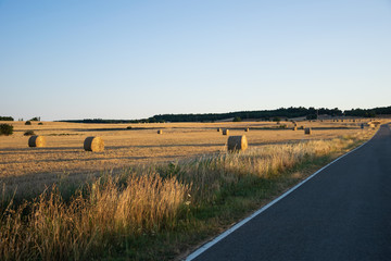 Paisaje de agricultura de precisión, tierra con alpacas de paja, agricultura. Temporada cosecha....