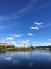 Naklejka premium Blue magic around English pond, Peterhof