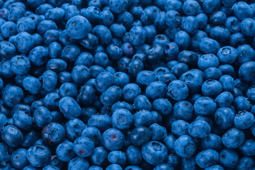 Fresh blueberry background.