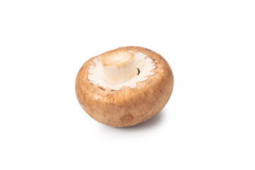 Tasty mushroom isolated on white background.