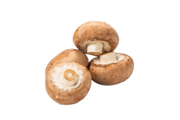 Tasty mushroom isolated on white background.