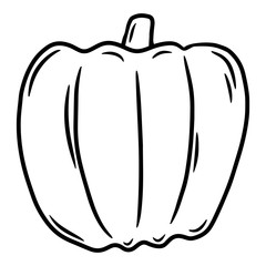 Pumpkin. Hand drawn vector illustration in doodle style, isolated on a white background.