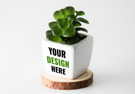 Download 51 Best Succulent Photoshop Indesign Illustrator Templates Adobe Stock