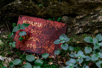 creepy red rusty sign with plants in front of the rocks. 