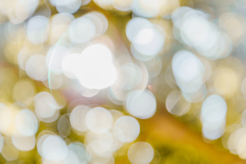 Orange Leaf Bokeh
