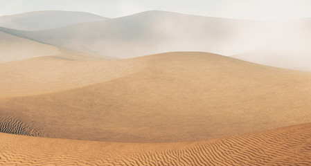 Sahara desert with sandstorm