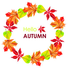 hello autumn round frame made of autumn leaves vector