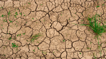 Danger of global warming concept. Close up dead grass with cracked soil in dry season