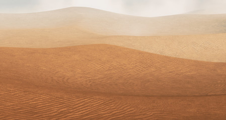 Sahara desert with sandstorm