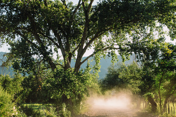 paisajes de la sierra sonorense