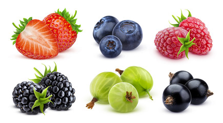 Forest berries collection isolated on white background