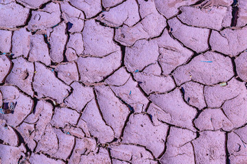 Ground Texture, Talampaya Park, La Rioja, Argentina