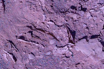 Ground Texture, Talampaya Park, La Rioja, Argentina