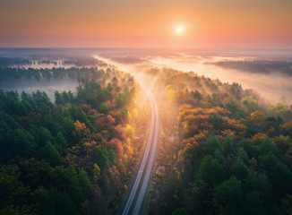 Aerial view of beautiful railroad in autumn forest in foggy sunrise. Industrial landscape with railway station, sky, trees with orange leaves, fog and sun rays. Top view of rural railroad and sunbeams