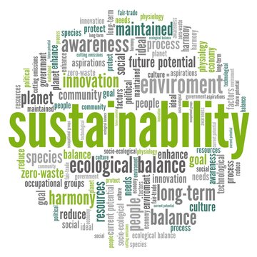 Sustainability vector illustration word cloud isolated on a white background.