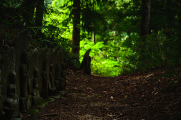 石仏が並ぶ山の遊歩道