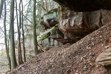 Obraz premium Felsen im Wald in Rheinland-Pfalz 