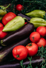 Summer harvest from the greenhouse and garden. Delicious and healthy vegetarian organic food. Various fresh colored vegetables close up. Green bell peppers, red tomatoes and blue eggplants.