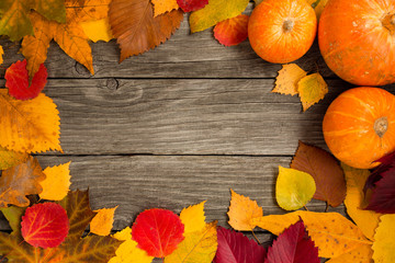Naklejka na ściany i meble Multicolored different autumn leaves on a wooden background as a frame, background, texture, concept.