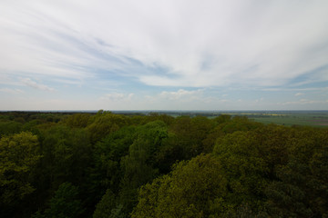 Fototapeta premium Blick übern Wald