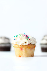 cupcake with icing and sprinkles