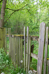 Altes Holztor im Wald