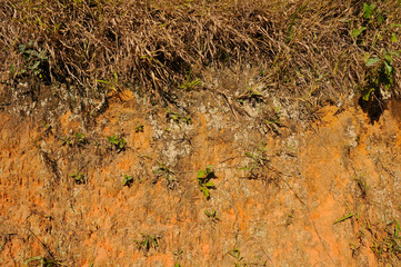 earthen bank dug for landfill