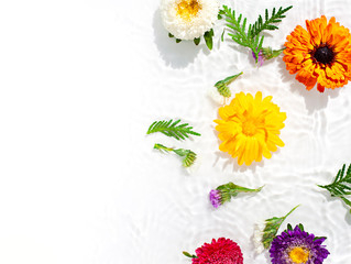 Colorful aster and calendula flowers swim in the water. Beautiful spa concept background. Top view. Copy space