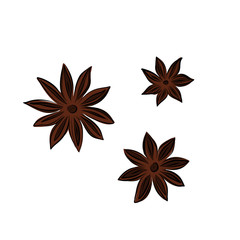 Star anise hand drawn vector illustration. Culinary aromatic seasoning flower, seeds isolated on white background.