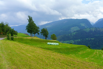Fototapeta na wymiar Mountain landscape near Cavalese, in Fiemme valley