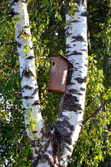 A tree house for birds. The birdhouse is attached to the trunk of a birch tree. Caring for birds.