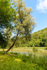 Landscape of Lake of Brinzio in valey Rasa at summertime, province of Varese, Lombardy, Italy.