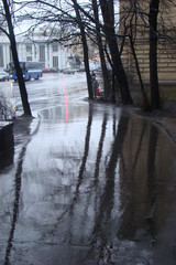 urban landscape, reflections of tree trunks on wet asphalt