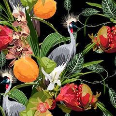 Fototapety  Wzór z roślin dżungli, liany, liści, kwiatów orchidei i egzotycznych ptaków. Ilustracja na czarnym tle.