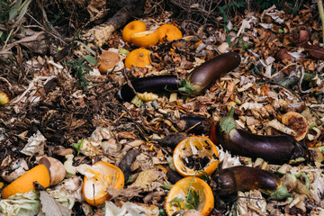Vegetables and fruits rot in the compost pit. Household waste for composting fruit and vegetables...