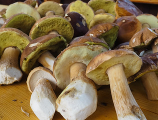 porcini mushrooms on a wooden table. texture. poster.