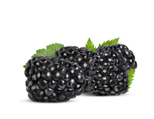 ripe black blackberry with green leaves on a white background