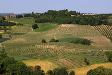Fototapeta premium Lower Monferrato (Piedmont, Italy)